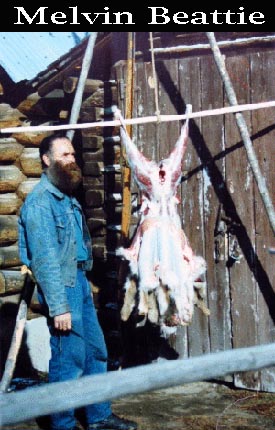 Melvin Beattie skinning a deer.